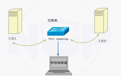 網(wǎng)絡(luò)安全防護(hù)技術(shù)與網(wǎng)絡(luò)技術(shù)開(kāi)發(fā) 構(gòu)建數(shù)字時(shí)代的防護(hù)屏障