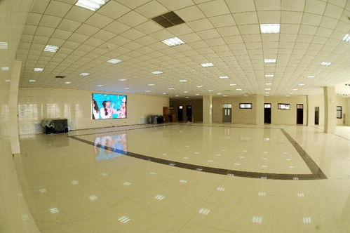 首批濟寧市網絡素養教育基地 濟寧職業技術學院網絡素養教育基地的技術開發實踐